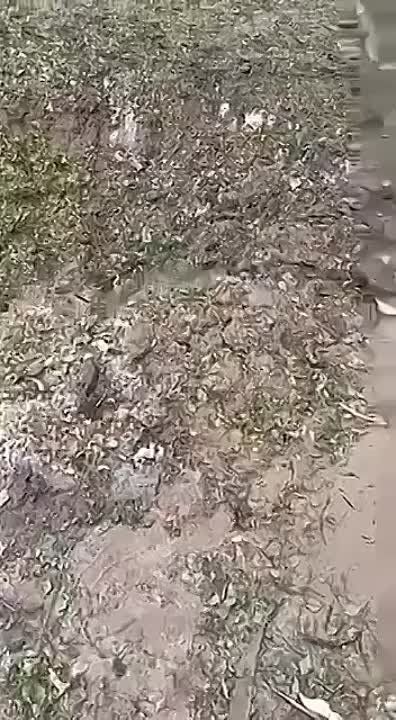����������� ������������ ������� ����� �� �� �� 169 �������� ������ ���������� ����� ������� � ������� ����� ������������ �������
