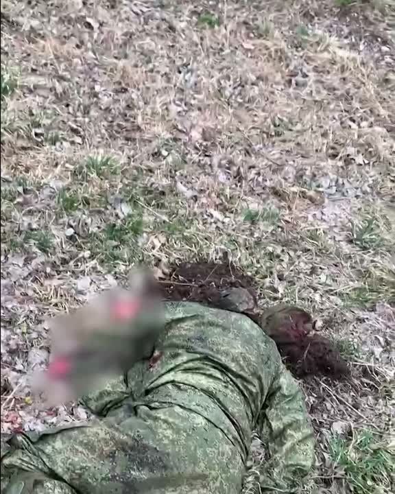 ��������� ����� ������������� ������� ���������� ������� � ������� ����������� ���������� ������� ���������� ������ � ������� �� �� ������