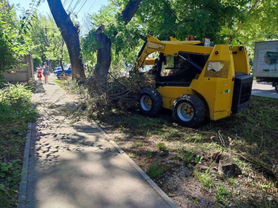 ����� ����� ���������� � ���, ��� � ����������� �� ����� �������� ������������� �� ������ �����, ���������� ��� ������ �� �������