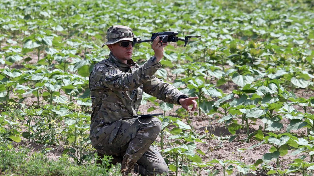 "�������� ������": ���������� "���������" � ��������� ��������� ������ �� �����������