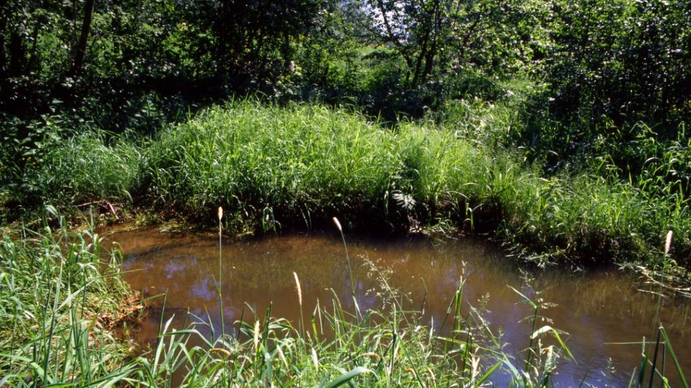 �������� ��������� "�����" � 130 ��, ����� ������� � �������� �������