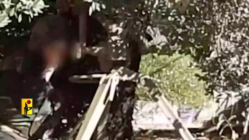 ����� �����: . ��������� ��������� ����� ������ �������� �� ������� ������ � �������