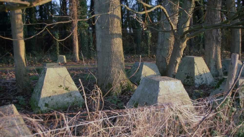 ��� ������ ������������� "���� �������" �� ������ �������