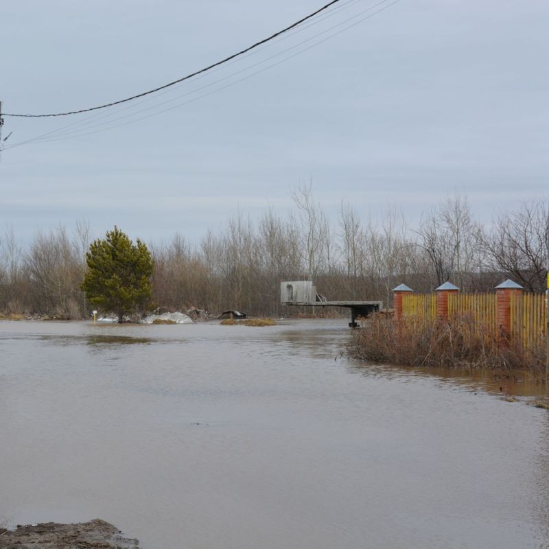 �� ���� ������� � ������� ������ ������������ 84 ��������, � ��� ����� ������ �����