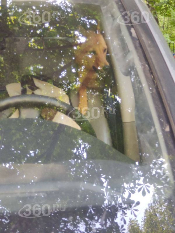 �������� � ������ �� 30-��������� ���� ������ ���������� �� ��������� ����� � ������