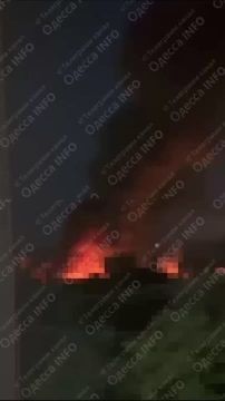          ( ),   