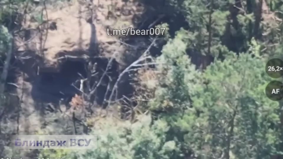  &quot;&quot;       :
