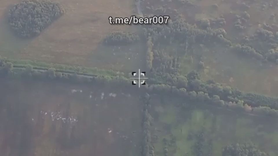  &quot;&quot;          :