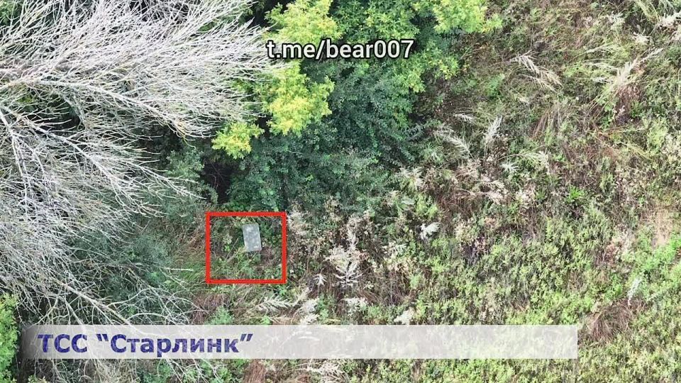  &quot;&quot;          :