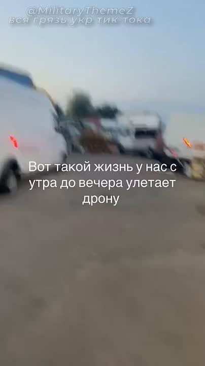  / - &quot;-2&quot;     /     