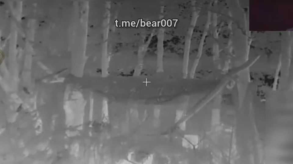   &quot;&quot;         ,    