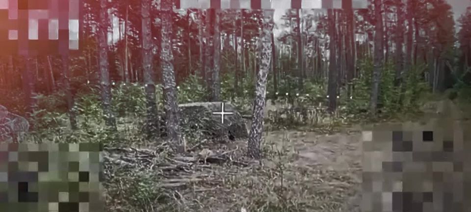          ,   FPV  &quot;&quot;         