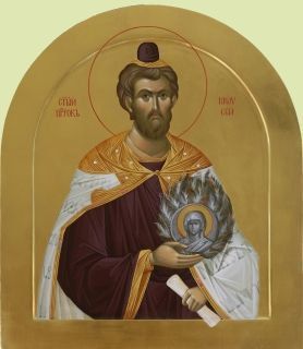 17  -    ,      ,   ,     ,   ,   ...