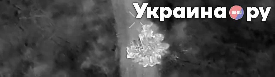    25    &quot; &quot;: