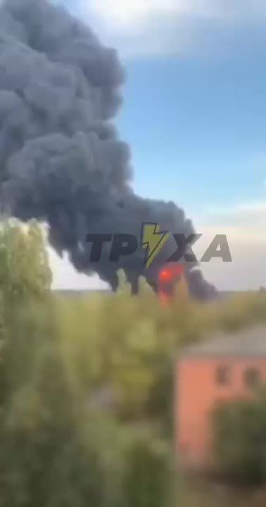        .     50  .       3  3.     