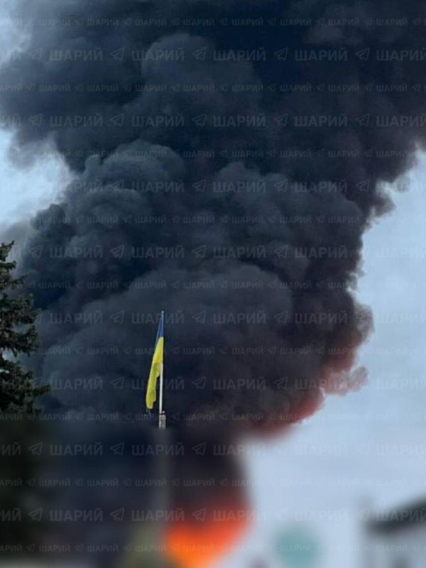 Определенно в рубрику "Фото дня"