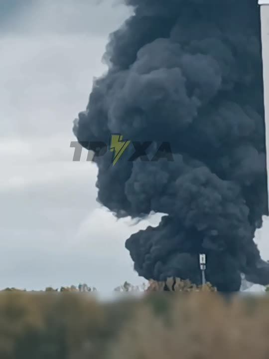  :       &quot;&quot;