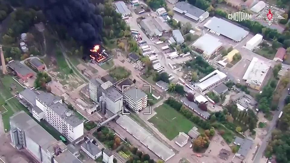     -      ,      Telegram-      