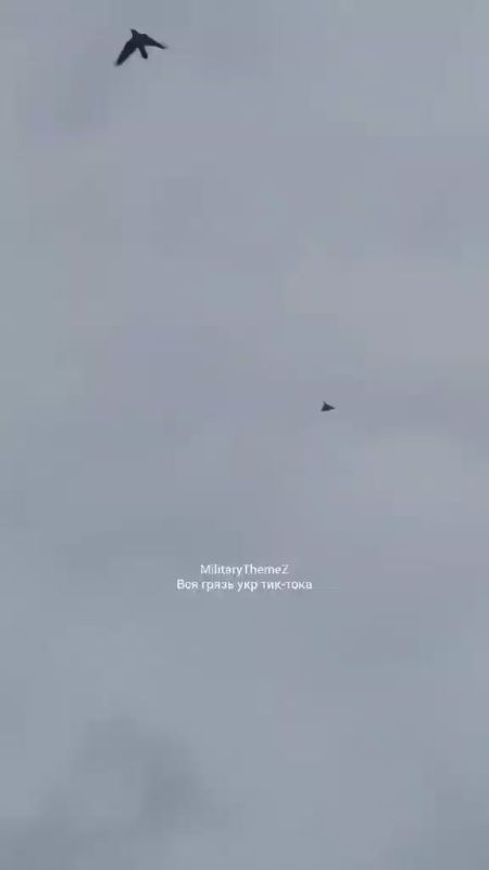 ������������ ��������� � ������ �������� �� ������������ ��� ���� ������