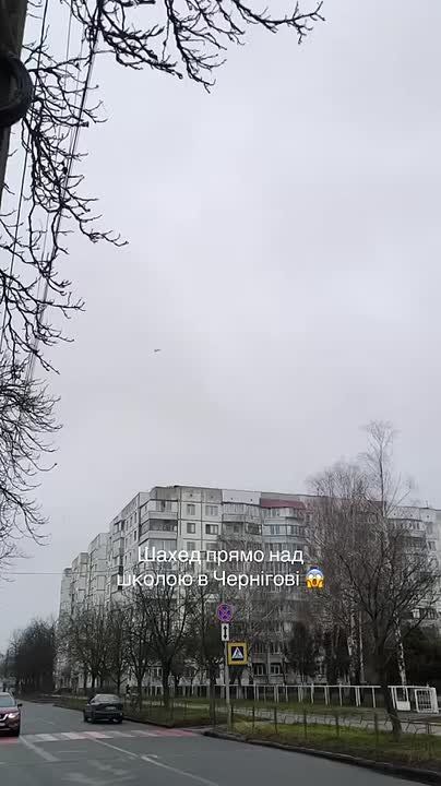 ���� �������: ������ "�������" �� ����� ������ ��� ����������