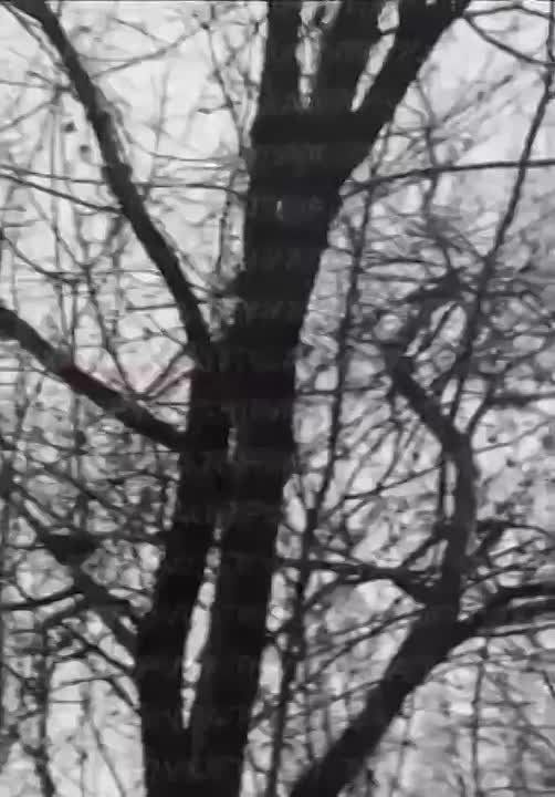 ����� ������� �������� ����� � ������ ���������������, ����� �����-��������� �������-2� ��� ����������, � ��������� ����� � �����