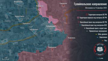 Наступление ВС РФ на Гуляйпольском направлении