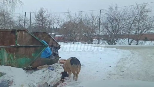 ������-������������� ��������� �� ������ ����� ��� ������� �� 2 ������ ��-�� ����������