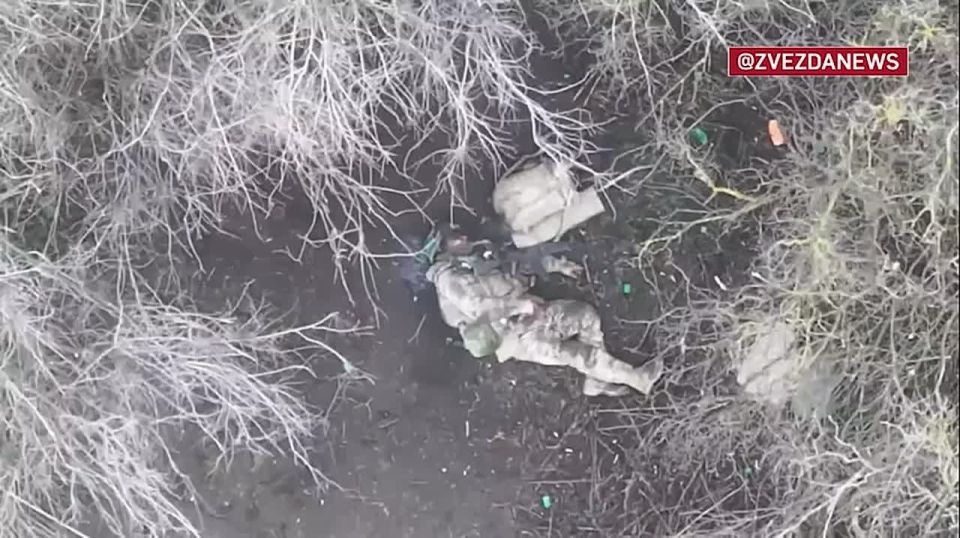 ������ ������� �� 15 ���������� ���������� � ���������� ��������� �� �������� ������ ���� ������ � ���������� �������� ����� ������������ �������� � ����������� �������