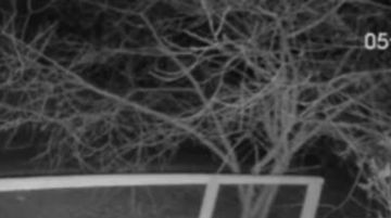 ����������� ����������� �� ���������� � ��������� �������