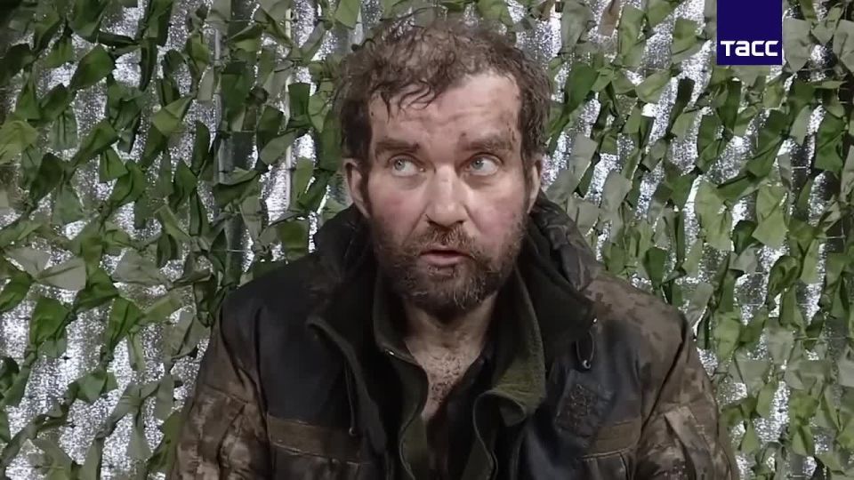 ���������� ������ ������ �������� ���������� ������ �����