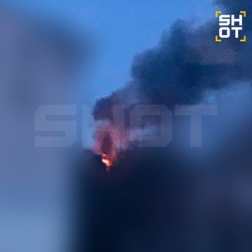 Ночную атаку Ленинградской области ВСУ устроили беспилотниками двух типов: FP-1 и «Лютый»