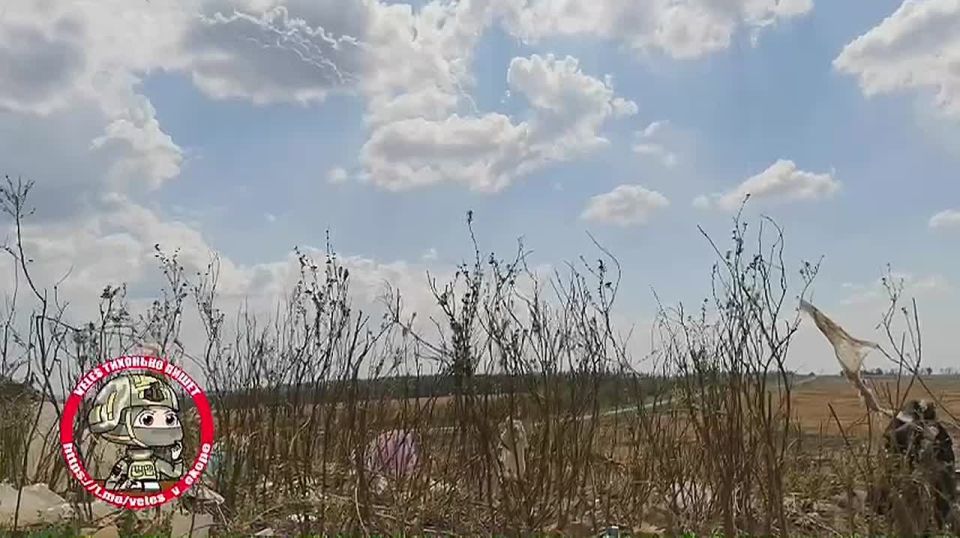 ������ ������: ����� - ���� �� ���������� �������� ���������