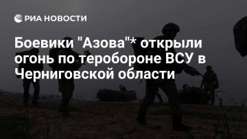 Боевики «Азова»* открыли огонь по теробороне ВСУ в Черниговской области