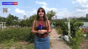 Чего в тайне остерегаются взрослые, но не боятся дети?