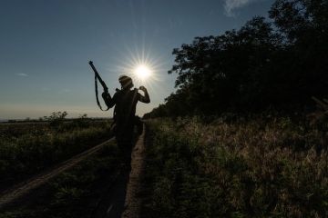 ����: ��� ������� �������� � ������������ ������������ �������
